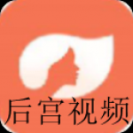 类似后宫视频的app有哪些