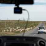 自驾游软件推荐下载