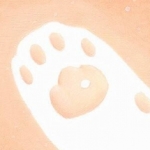 类似猫爪影像视频软件