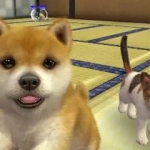 狗狗游戏有哪些