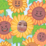 免费贴纸相机软件推荐下载