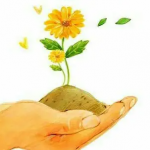 健康咨询软件推荐下载