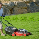 修剪草坪游戏大全