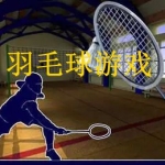 羽毛球游戏大全