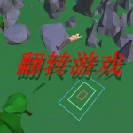有趣的翻转游戏