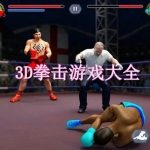 3D拳击游戏大全