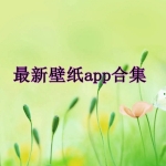 最新壁纸app合集
