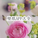 壁纸APP大全