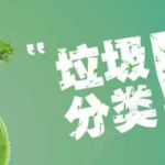 垃圾分类游戏大全