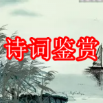 诗词鉴赏软件推荐下载