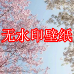 无水印壁纸软件推荐下载2022