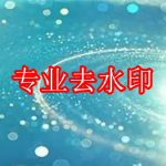 专业去水印软件推荐下载