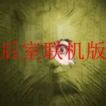 和后室差不多的游戏合集