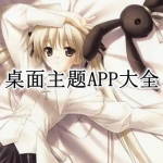 桌面主题APP大全