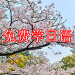 免费学日语软件推荐下载大全