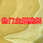 热门主题壁纸app推荐下载合集