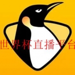 看世界杯软件合集