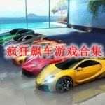 疯狂飙车类游戏合集