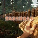 荒岛求生游戏合集