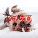 互动桌面软件下载合集