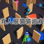 真人躲猫猫游戏大全