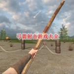 弓箭射击游戏大全