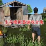 生存模拟器游戏合集