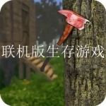 2023可以联机生存的游戏大全