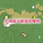 小鸡战斗游戏有哪些