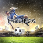 体育足球游戏合集