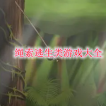 绳索逃生游戏有哪些