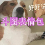 斗图表情包软件下载合集