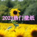 2023热门壁纸软件下载合集