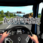 真实开车模拟游戏合集