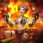 有趣的对打游戏单机游戏大全