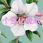 个性化壁纸软件下载合集