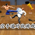 空手道对战游戏合集