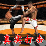 真实打击游戏合集