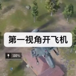 第一视角开飞机游戏下载合集