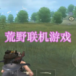 荒野联机游戏下载合集