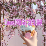 ins网红拍照软件下载合集