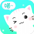 猫与翻译器app