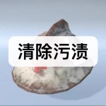 好玩的清除污渍游戏下载合集