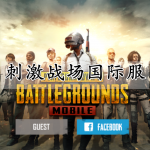 刺激战场国际服游戏合集