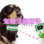 宠物交流翻译软件下载合集