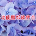 多功能壁纸软件合集