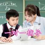 一对一辅导APP大全