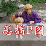 恶搞p图APP大全