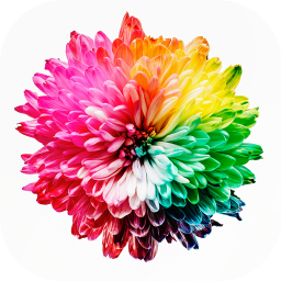 抖屏动态壁纸 抖屏动态壁纸