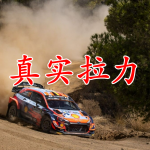 真实的拉力赛手游合集